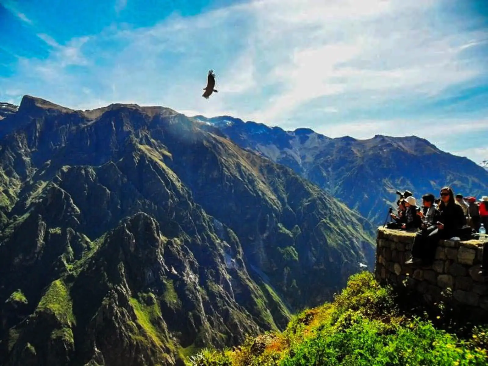 cañon colca arequipa
